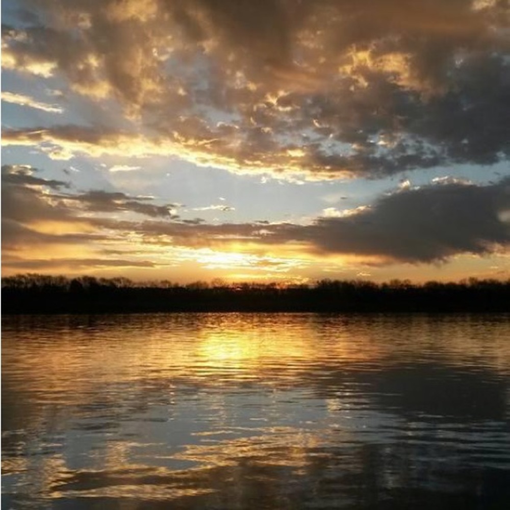 Meet your Posher, Allie - Picture 14 of 16